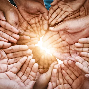 Non profit impact video Non profit impact video